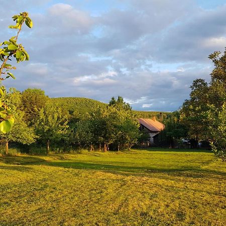 Tepke Guesthouse Garáb Exteriör bild