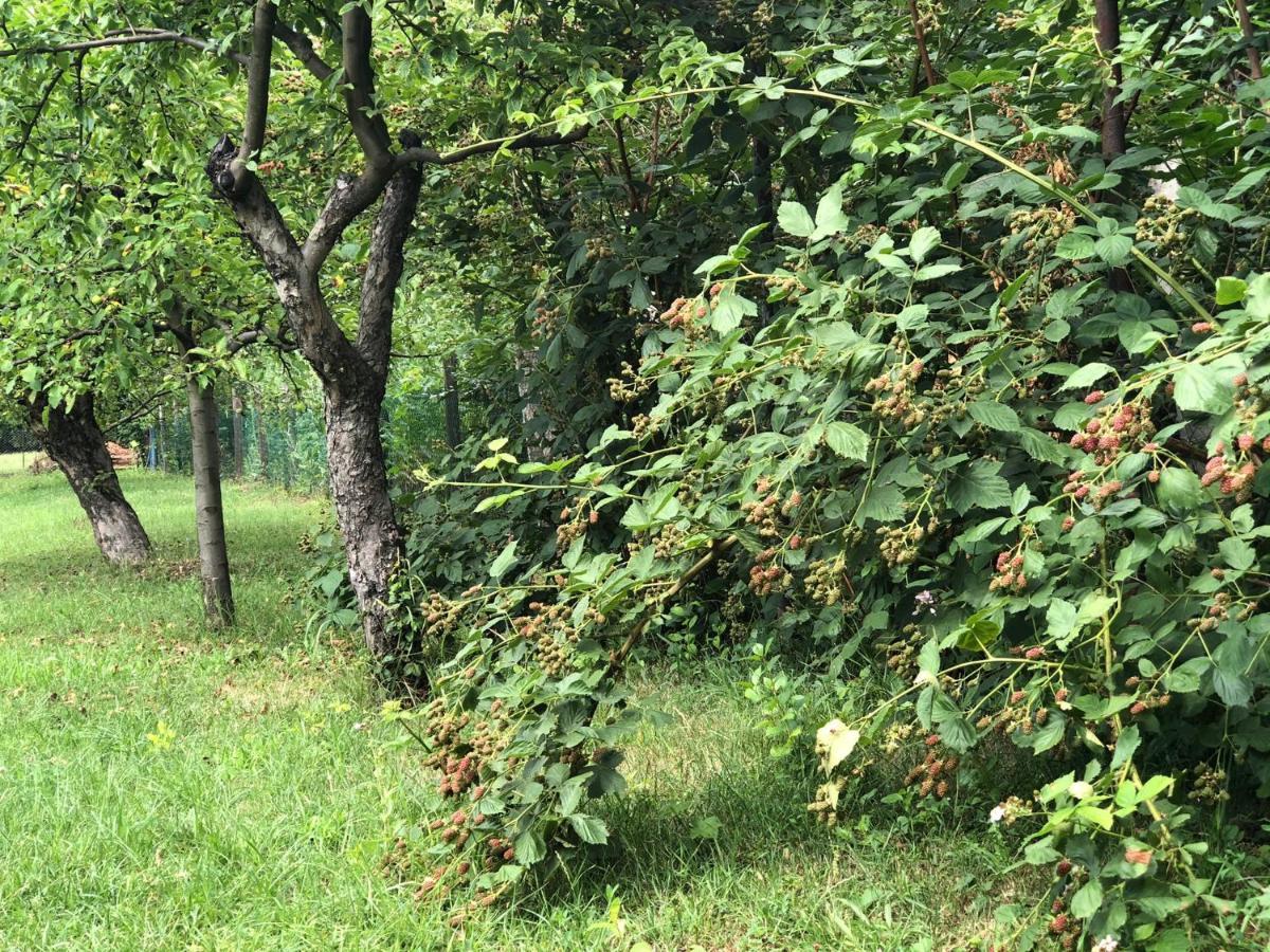 Tepke Guesthouse Garáb Exteriör bild